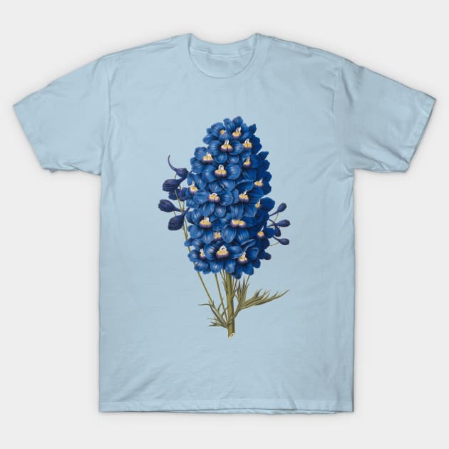 Delft  Blue Ephemera Delphinium Flower T-Shirt by RedThorThreads
